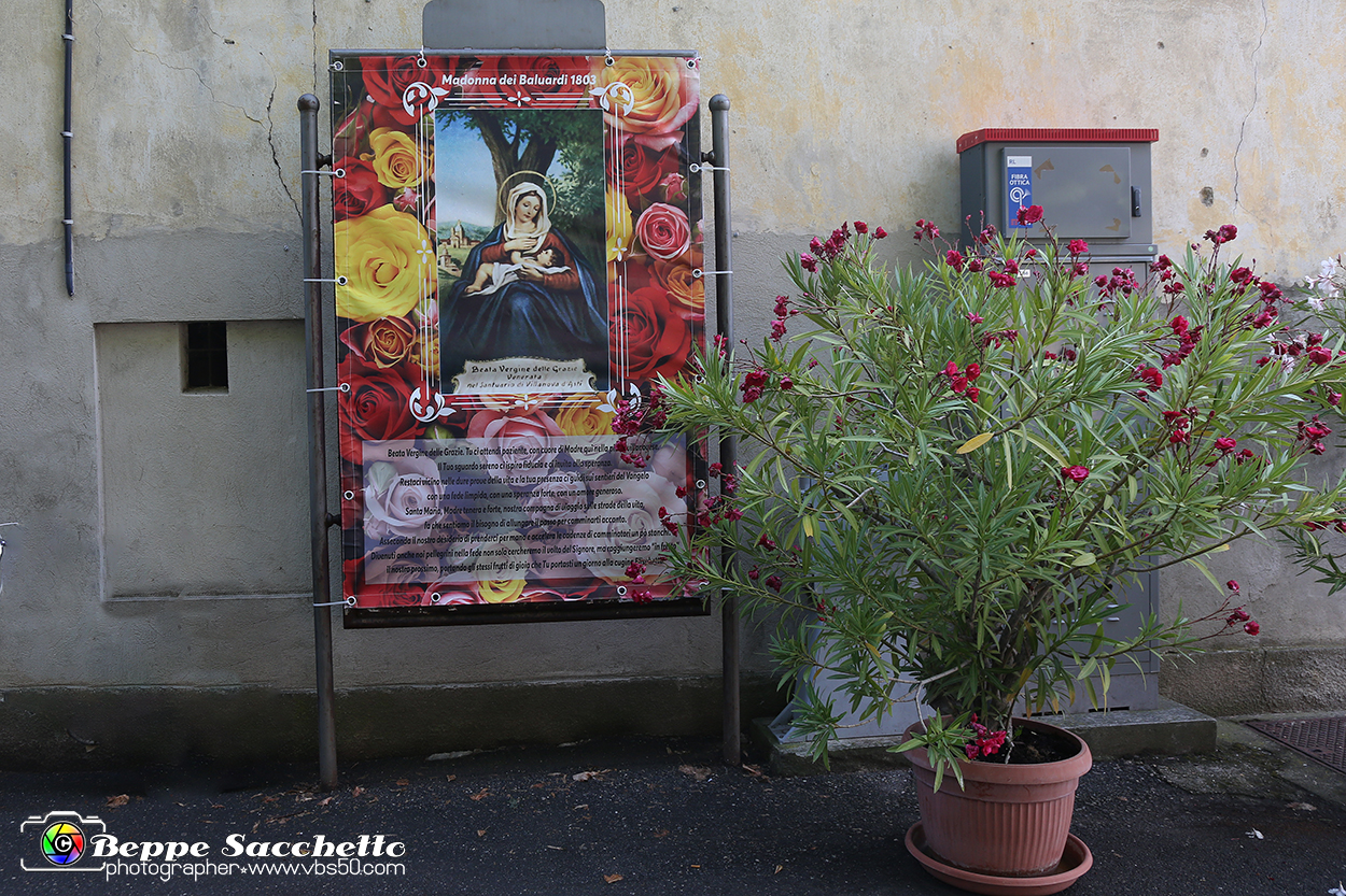 VBS_9518 - Infiorata di Villanova d'Asti 2023.jpg